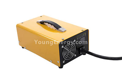 24V(25~30A) Vehicle Charger